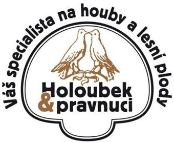logo Holoubek a pravnuci